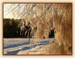 Pěkná horská zima...