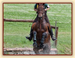 Ascara na KMK ve všestrannosti Humpolec, červenec 2014, všestrannost ZK