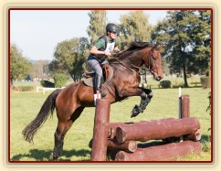 Ascara na závodech v Humpolci, září 2014, všestrannost Z