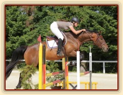 Ascara na skokovém KMK v Mariánských Lázních, červen 2014, parkur Z