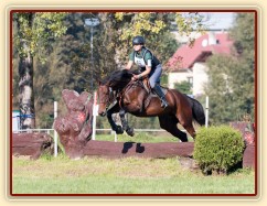 Ascara, všestrannost stupně Z, Humpolec 28.9.2014