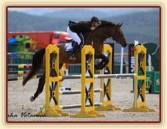 Ascara, KMK čtyřletých koní ve skocích (ZL), Zduchovice 20.8.2014