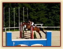 Ascara, KMK čtyřletých koní ve skocích (Z), Mariánské Lázně18.6.2014