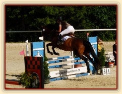 Ascara, KMK čtyřletých koní ve skocích (Z), Mariánské Lázně18.6.2014