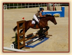 Ascara, KMK čtyřletých koní ve skocích (Z), Mariánské Lázně18.6.2014