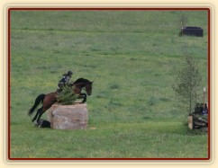 Bára, všestrannost stupně ZL, Borová 18.5.2014