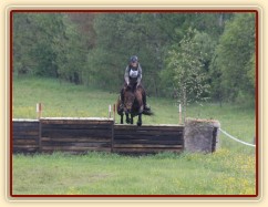 Bára, všestrannost stupně ZL, Borová 18.5.2014