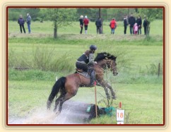 Bára, všestrannost stupně ZL, Borová 18.5.2014