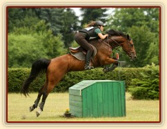 Bára, všestrannost stupně L, Kolesa 5.7.2014