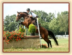 Bára, všestrannost stupně L, Pardubice 10.8.2014