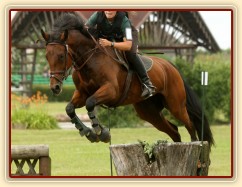 Bára, všestrannost stupně L, Kolesa 5.7.2014