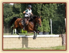 Bára, všestrannost stupně L, Pardubice 10.8.2014