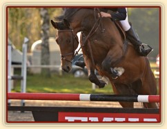 Bára, parkur stupně ZL, Klatovy 20.9.2014. . Foto Jiří Smetana, www.js-foto.cz