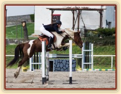 Vikona, parkur stupně ZL, Klatovy 20.4.2014. Foto Michaela Holubová