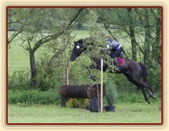 Arwen a Radka Císařová, všestrannost stupně ZL, Borová 18.5:2014