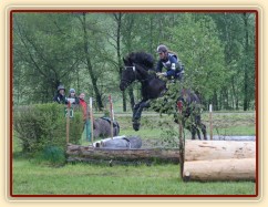 Arwen a Radka Císařová, všestrannost stupně ZL, Borová 18.5:2014