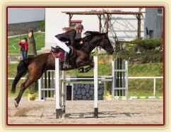 Arwen a Radka Císařová, parkur stupně ZL, Klatovy 20.4:2014. Foto Michaela Holubová