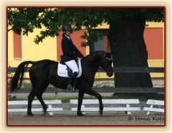 Carthago, drezura stupně L (DJ), Dubenec 28.6.2014