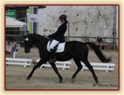 Carthago, drezura stupně L (DJ), Dubenec 28.6.2014