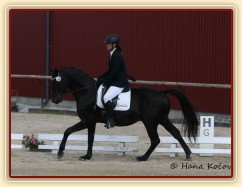 Carthago, drezura stupně L (DJ), Dubenec 28.6.2014