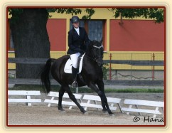 Carthago, drezura stupně L (DJ), Dubenec 28.6.2014