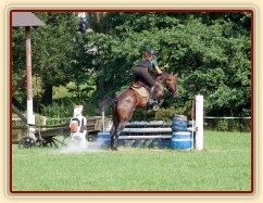 Chesterton, KMK pětiletých koní ve všestrannosti (ZL), Humpolec 18.7.2014
