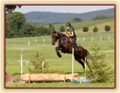 Chesterton, KMK pětiletých koní ve všestrannosti (ZL), Humpolec 18.7.2014