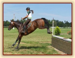 Chesterton, všestrannost stupně ZL, Pardubice 10.8.2014