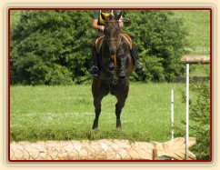 Chesterton, KMK pětiletých koní ve všestrannosti (ZL), Humpolec 18.7.2014