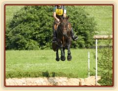 Chesterton, KMK pětiletých koní ve všestrannosti (ZL), Humpolec 18.7.2014