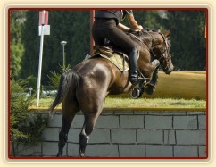 Chesterton, KMK pětiletých koní ve všestrannosti (ZL), Humpolec 18.7.2014