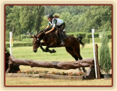Chesterton, všestrannost stupně ZL, Pardubice 10.8.2014