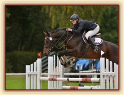 Chesterton, parkur stupně L**, Klatovy 20.9.2014. Foto Jiří Smetana, www.js-foto.cz