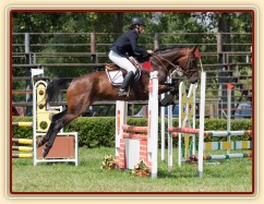 Chesterton, KMK pětiletých koní ve všestrannosti (ZL), Humpolec 18.7.2014