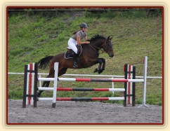 Chesterton, parkur stupně Z, Plzeň 31.5.2014. Foto Jitka Kreidlová