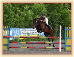 Chesterton, parkur stupně Z, Plzeň 31.5.2014. Foto Jitka Kreidlová