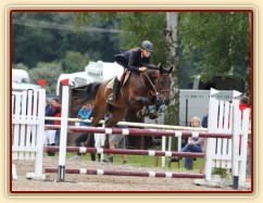 Chesterton, parkur stupně ZL, Klatovy 16.8.2014. Foto Jitka Kreidlová