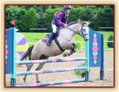 Alpinhorse Midnight Princess a Míša Haderková, parkur 80cm Klatovy 17.8.2014