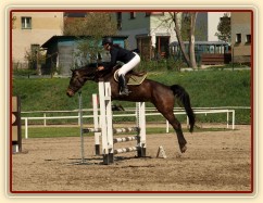 Fivitas Dei, parkur ZZ, Klatovy 20.4.2014