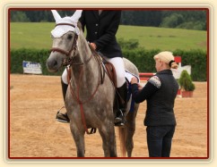 Vesna, KMK čtyřletých koní ve skocích (ZL) - 4. místo, Tachov 13.8.2014