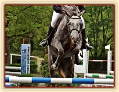 Vesna, parkur stupně Z, Plzeň 3.5.2014