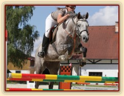 Vesna, KMK čtyřletých koní ve skocích (Z), Mariánské Lázně 18.6.2014