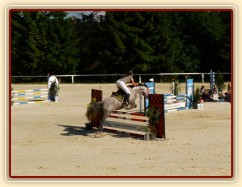 Vesna, KMK čtyřletých koní ve skocích (Z), Mariánské Lázně 18.6.2014