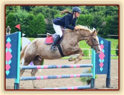 Terry a jeho první parkur, 80cm Klatovy 17.8.2014