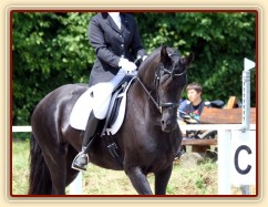 Gvennie Goodshapes, čtyřletá fríská klisna se svou majitelkou na jejich prvních drezurních hobby závodech, Hunčice 26.7.2014. Foto Jitka Kreidlová