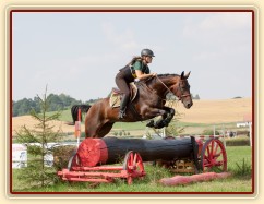 Chesterton, KMK pětiletých koní ve všestrannosti (ZL), Humpolec 18.7.2014