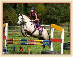 Pětiletá WPBr Alpinhorse Midnight Princess se svou jezdkyní Michaelou Haderkovou