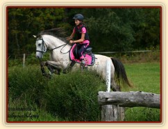 Pětiletá WPBr Alpinhorse Midnight Princess se svou jezdkyní Michaelou Haderkovou