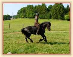 Čtyřletá fríská klisna Gvennie Goodhapes