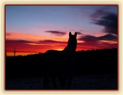 Zimní východ slunce